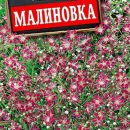 АЭЛИТА ГИПСОФИЛА ИЗЯЩНАЯ МАЛИНОВКА Ц/П 0,05 г