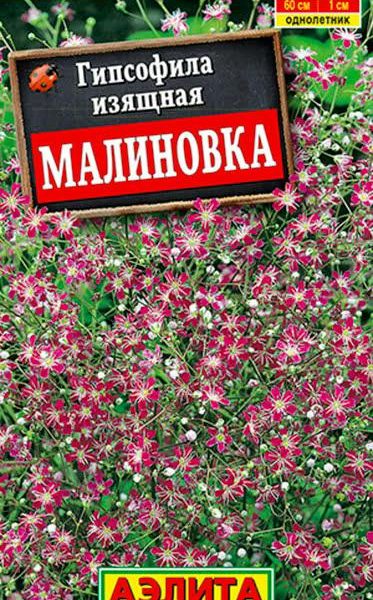 АЭЛИТА ГИПСОФИЛА ИЗЯЩНАЯ МАЛИНОВКА Ц/П 0,05 г