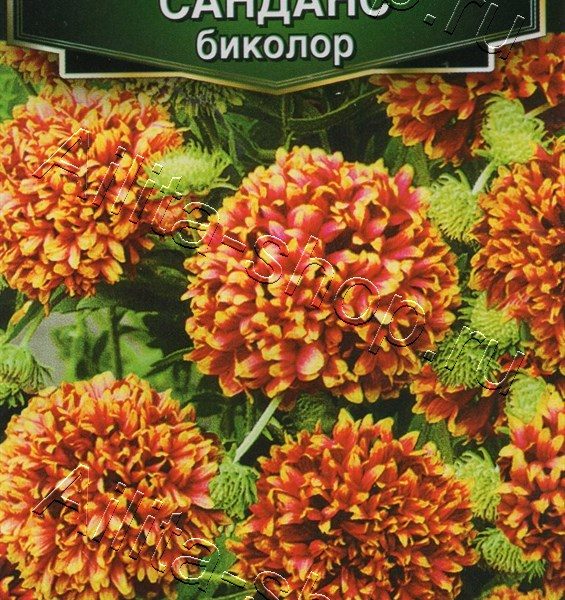 АЭЛИТА ГАЙЛАРДИЯ САНДАНС БИКОЛОР Ц/П 0,05 г