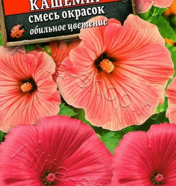 АЭЛИТА ЛАВАТЕРА ШЕЛК И КАШЕМИР, СМЕСЬ СОРТОВ Ц/П 0,3 г