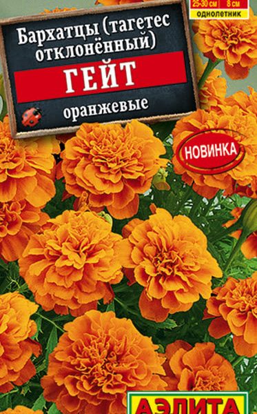 АЭЛИТА БАРХАТЦЫ ГЕЙТ ОРАНЖЕВЫЕ ОТКЛОНЕННЫЕ Ц/П 7 шт
