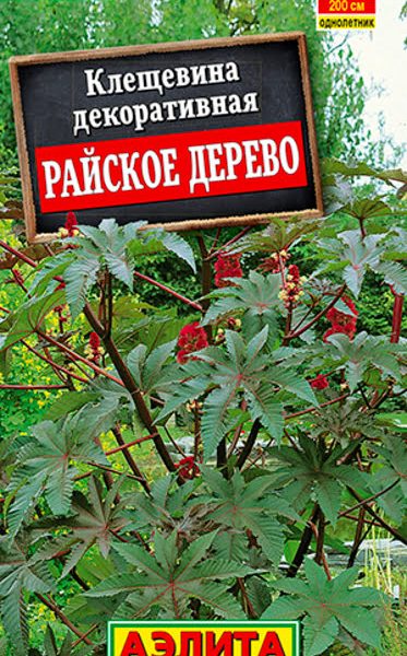 АЭЛИТА КЛЕЩЕВИНА РАЙСКОЕ ДЕРЕВО Ц/П 2 г