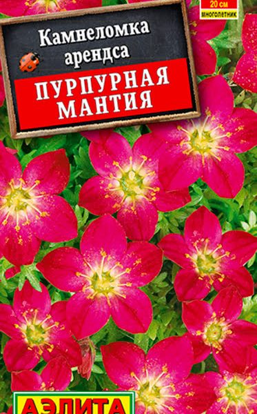 АЭЛИТА КАМНЕЛОМКА ПУРПУРНАЯ МАНТИЯ Ц/П 0,02 г
