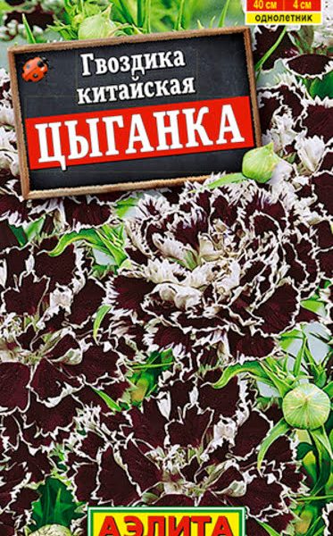 АЭЛИТА ГВОЗДИКА ЦЫГАНКА КИТАЙСКАЯ Ц/П 0,05 г