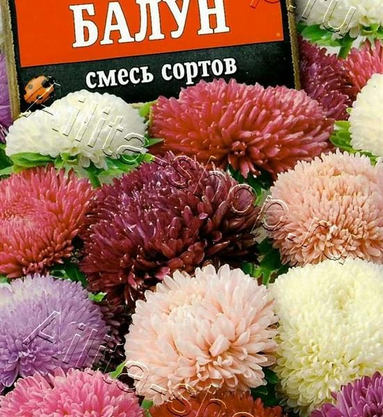 АЭЛИТА АСТРА БАЛУН, СМЕСЬ СОРТОВ Ц/П 25 шт