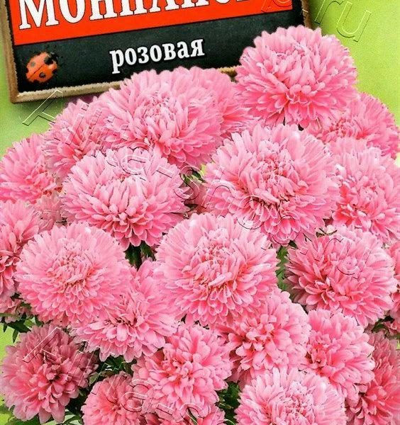 АЭЛИТА АСТРА МОНПАНСЬЕ РОЗОВАЯ Ц/П 0,2 г