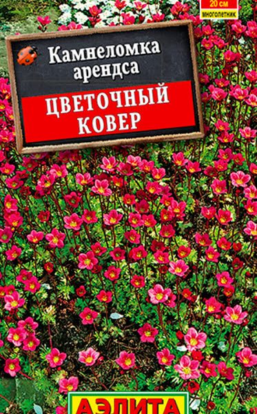 АЭЛИТА КАМНЕЛОМКА ЦВЕТОЧНЫЙ КОВЕР 0,02 г Ц/П
