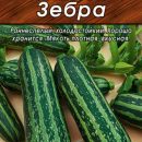 АЭЛИТА КАБАЧОК ЦУККИНИ ЗЕБРА Ц/П 2 г