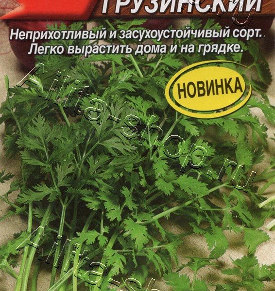 АЭЛИТА КОРИАНДР БОЛЬШОЙ ГРУЗИНСКИЙ Ц/П 3 г