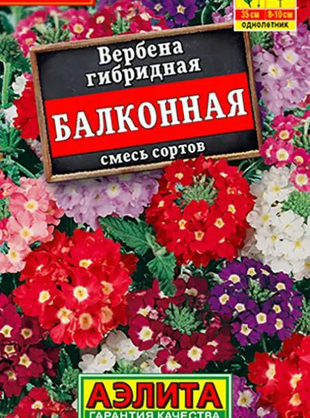 АЭЛИТА ВЕРБЕНА БАЛКОННАЯ, СМЕСЬ СОРТОВ Лидер 40 шт