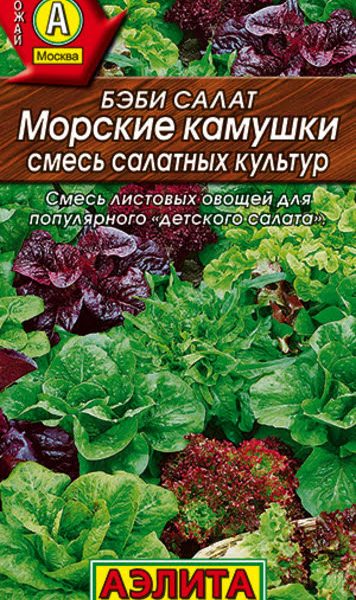 АЭЛИТА БЭБИ САЛАТ МОРСКИЕ КАМУШКИ, СМЕСЬ Ц/П 0,5 г