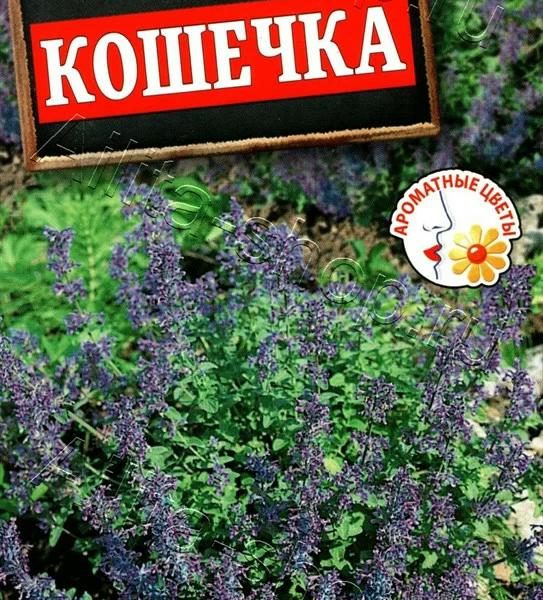 АЭЛИТА КОТОВНИК КОШЕЧКА Ц/П 0,2 г