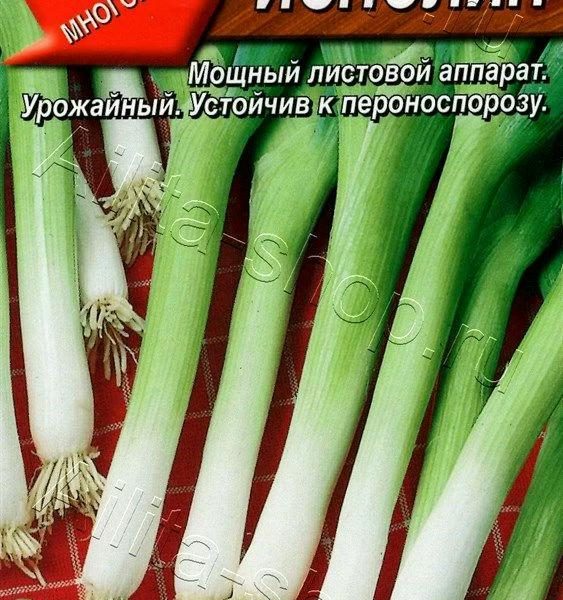 АЭЛИТА ЛУК БАТУН ИСПОЛИН Ц/П 1 г