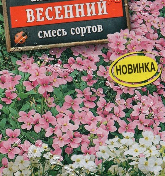 АЭЛИТА АРАБИС ВЕСЕННИЙ, СМЕСЬ СОРТОВ Ц/П 0,05 г