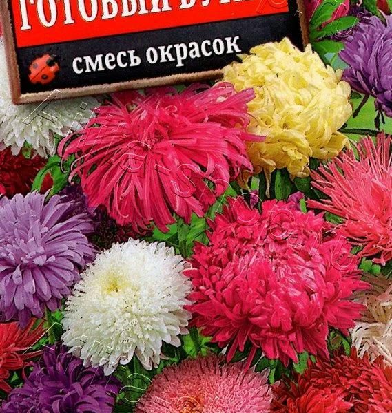 АЭЛИТА АСТРА ГОТОВЫЙ БУКЕТ, СМЕСЬ СОРТОВ Ц/П 0,2 г