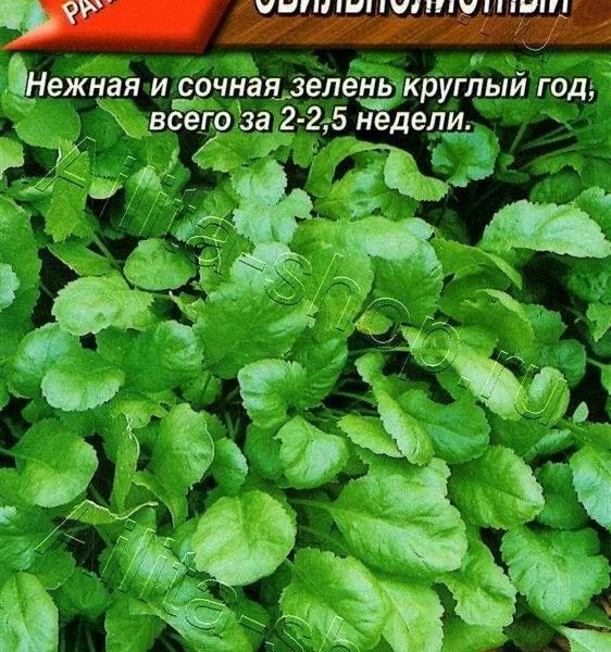 АЭЛИТА КРЕСС-САЛАТ ОБИЛЬНОЛИСТНЫЙ Ц/П 1 г
