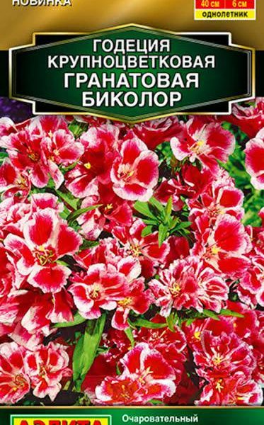 АЭЛИТА ГОДЕЦИЯ ГРАНАТОВАЯ БИКОЛОР МАХРОВАЯ Ц/П 0,05 г