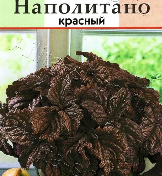 АЭЛИТА БАЗИЛИК ОВОЩНОЙ НАПОЛИТАНО КРАСНЫЙ Ц/П 0,1 г