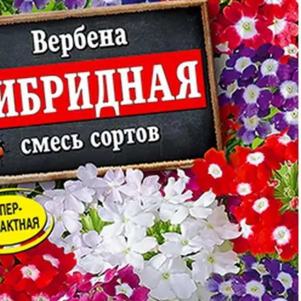 АЭЛИТА ВЕРБЕНА ГИБРИДНАЯ, СМЕСЬ СОРТОВ Ц/П 40 шт