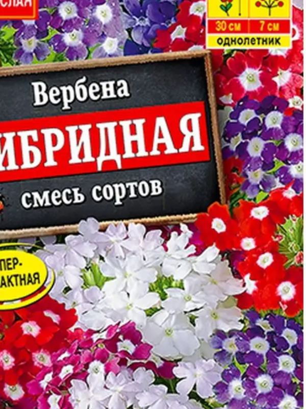 АЭЛИТА ВЕРБЕНА ГИБРИДНАЯ, СМЕСЬ СОРТОВ Ц/П 40 шт