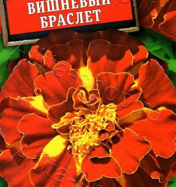 АЭЛИТА БАРХАТЦЫ ВИШНЕВЫЙ БРАСЛЕТ Ц/П 0,3 г