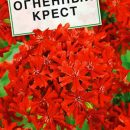 АЭЛИТА ЗОРЬКА ОГНЕННЫЙ КРЕСТ Ц/П 0,1 г