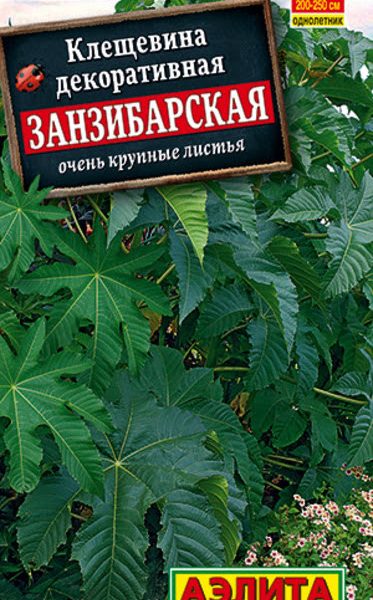 АЭЛИТА КЛЕЩЕВИНА ЗАНЗИБАРСКАЯ Ц/П 2 г