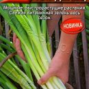 АЭЛИТА ЛУК БАТУН МЕЧ КЛАДЕНЕЦ Ц/П 0,5 г