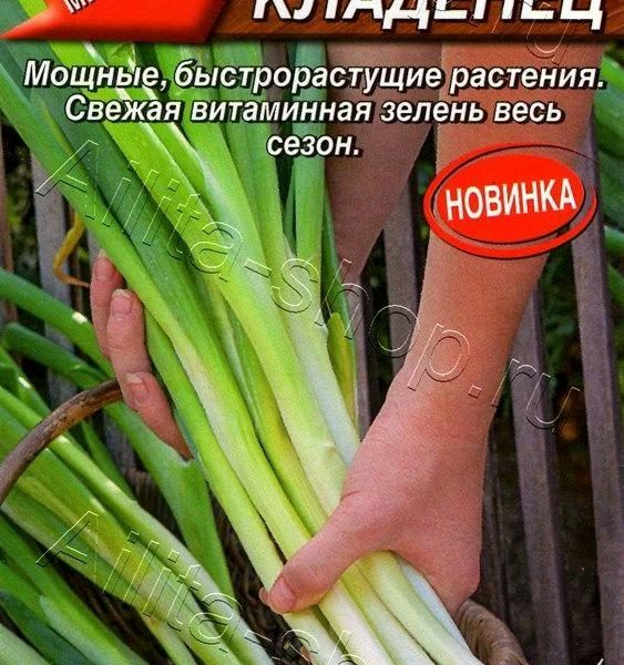АЭЛИТА ЛУК БАТУН МЕЧ КЛАДЕНЕЦ Ц/П 0,5 г