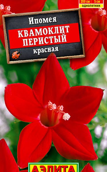 АЭЛИТА ИПОМЕЯ КВАМОКЛИТ КРАСНАЯ Ц/П 0,5 г