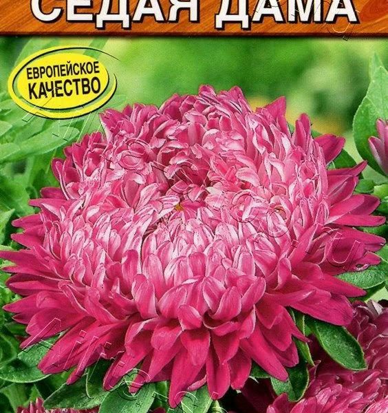 АЭЛИТА АСТРА СЕДАЯ ДАМА Ц/П 0,2 г
