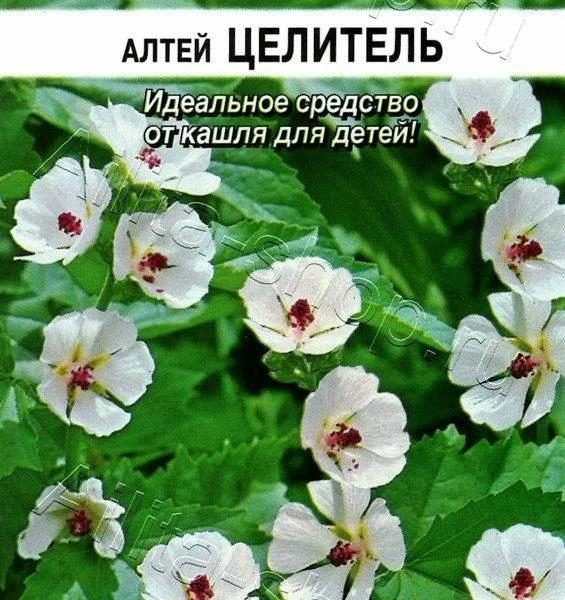 АЭЛИТА АЛТЕЙ ЛЕКАРСТВЕННЫЙ ЦЕЛИТЕЛЬ Ц/П 0,2 г
