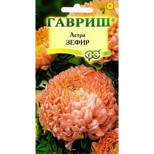 ГАВРИШ АСТРА ИЮЛЬСКАЯ ОДНОЛЕТНЯЯ (СМЕСЬ) 0,3 Г