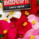 АЭЛИТА БЕГОНИЯ ВЕЧНОЦВЕТУЩАЯ ИМПЕРАТОР, СМЕСЬ ОКРАСОК F1 Ц/П 10 шт