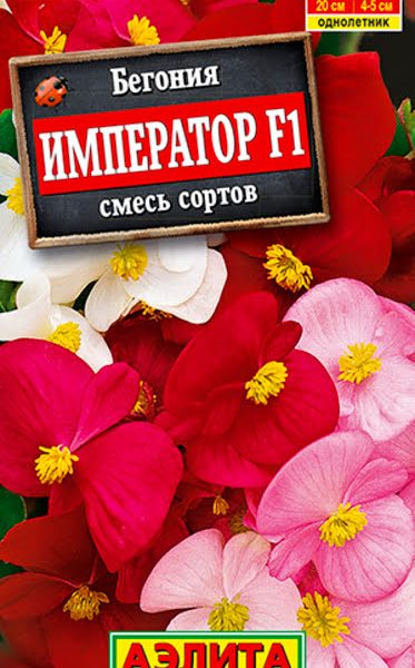 АЭЛИТА БЕГОНИЯ ВЕЧНОЦВЕТУЩАЯ ИМПЕРАТОР, СМЕСЬ ОКРАСОК F1 Ц/П 10 шт
