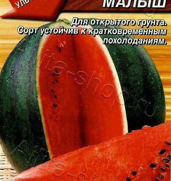 АЭЛИТА АРБУЗ САХАРНЫЙ МАЛЫШ Ц/П 1 г