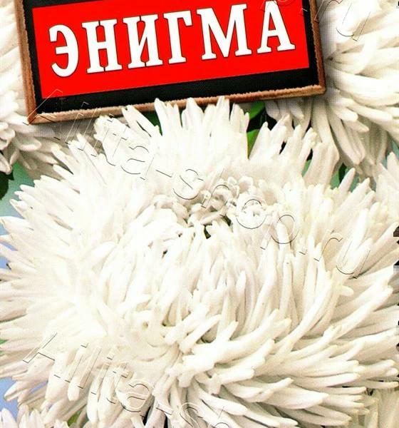 АЭЛИТА АСТРА ЭНИГМА КОГОТКОВАЯ Ц/П 0,2 г
