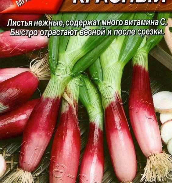 АЭЛИТА ЛУК БАТУН КРАСНЫЙ Ц/П 0,3 г