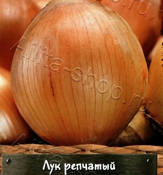 АЭЛИТА ЛУК РЕПЧАТЫЙ КОРОЛЬ ГИГАНТОВ Ц/П 0,3 г