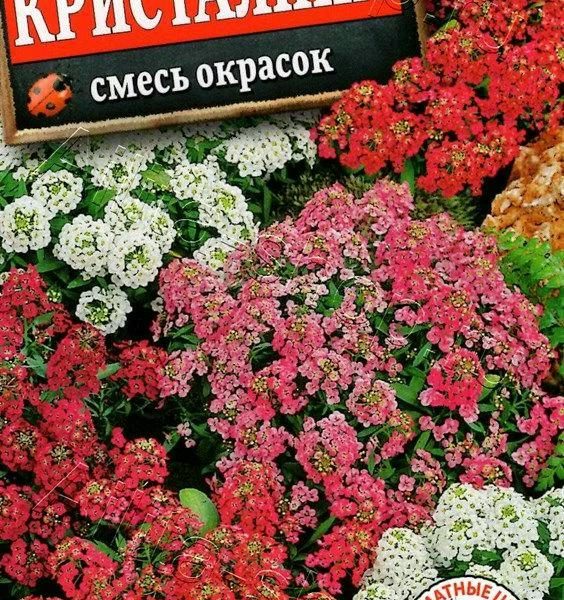 АЭЛИТА АЛИССУМ КРИСТАЛИНА, СМЕСЬ СОРТОВ Ц/П 0,02 г