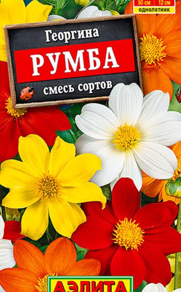 АЭЛИТА ГЕОРГИНА РУМБА, СМЕСЬ СОРТОВ Ц/П 0,3 г