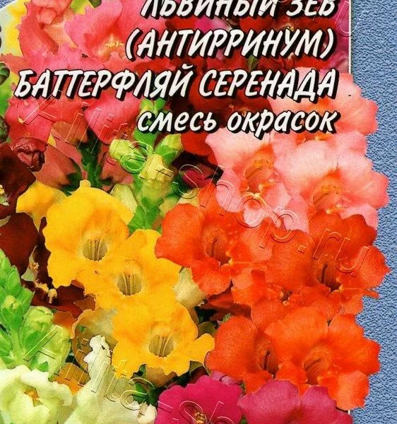 АЭЛИТА ЛЬВИНЫЙ ЗЕВ БАТТЕРФЛЯЙ СЕРЕНАДА, СМЕСЬ СОРТОВ Ц/П 0,1 г