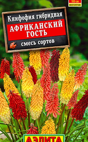 АЭЛИТА КНИФОФИЯ АФРИКАНСКИЙ ГОСТЬ, СМЕСЬ СОРТОВ Ц/П 30 шт