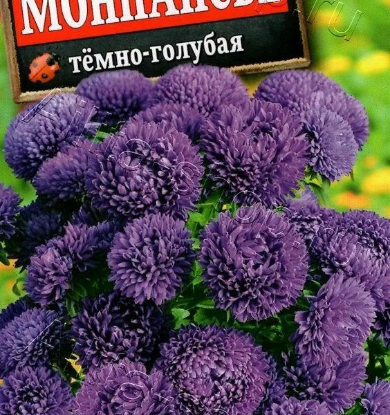 АЭЛИТА АСТРА МОНПАНСЬЕ ТЕМНО-ГОЛУБАЯ Ц/П 0,2 г