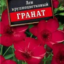 АЭЛИТА ЛЕН КРУПНОЦВЕТКОВЫЙ ГРАНАТ Лидер 0,2 г