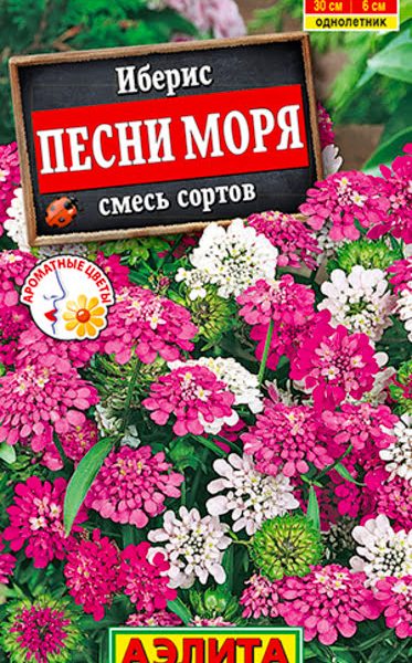 АЭЛИТА ИБЕРИС ПЕСНИ МОРЯ, СМЕСЬ СОРТОВ Ц/П 0,1 г
