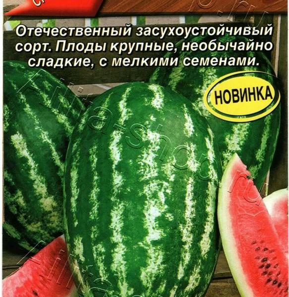 АЭЛИТА АРБУЗ ВОЛЖАНИН Ц/П 1 г