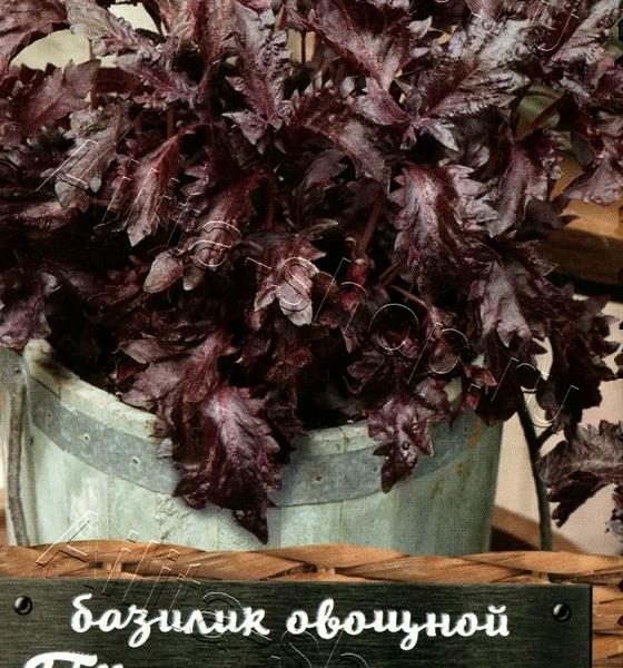 АЭЛИТА БАЗИЛИК ОВОЩНОЙ ПЕРПЛ РАФФЛС Ц/П 8 шт