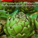 АЭЛИТА АРТИШОК КРАСАВЕЦ Ц/П 12 шт