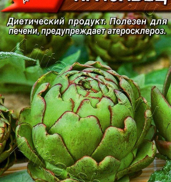 АЭЛИТА АРТИШОК КРАСАВЕЦ Ц/П 12 шт